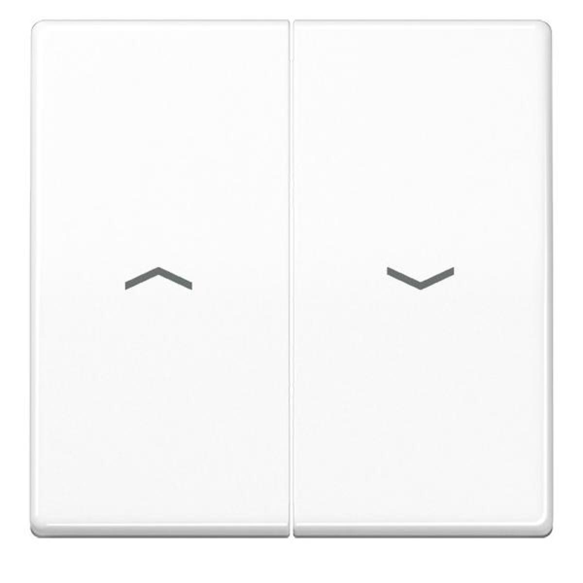 Jung Wippe Symbole aws AS 591-5 PBF WW AS591-5PBFWW Jung Wippe Symbole aws AS 591-5 PBF WW AS591-5PBFWW von Jung
