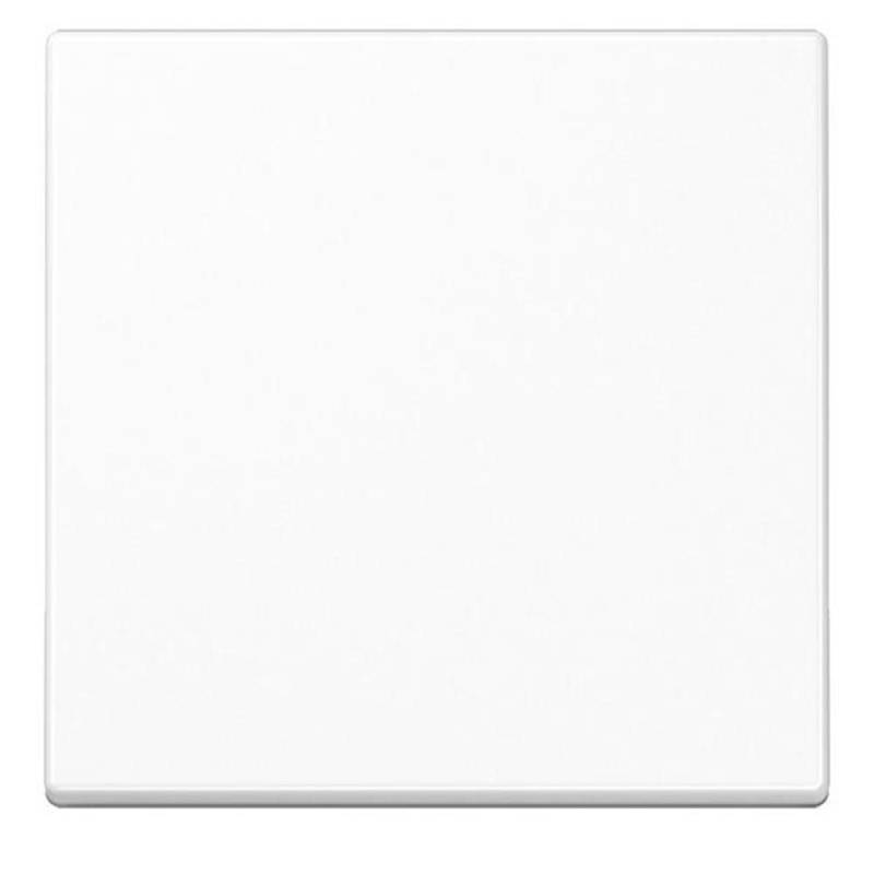 Jung Wippe aws A 590 WW A590WW von Jung