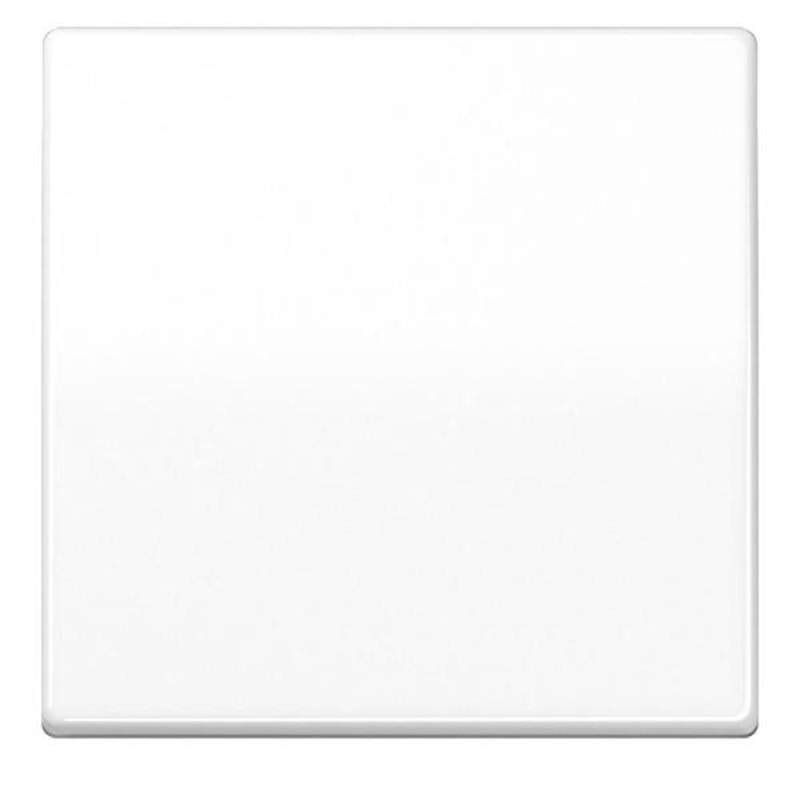 Jung Wippe aws AS 591 WW AS591WW von Jung
