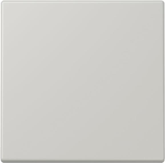 Jung Wippe für Taster 1fach gris clair 31 LC 101205 (LC101205) von Jung