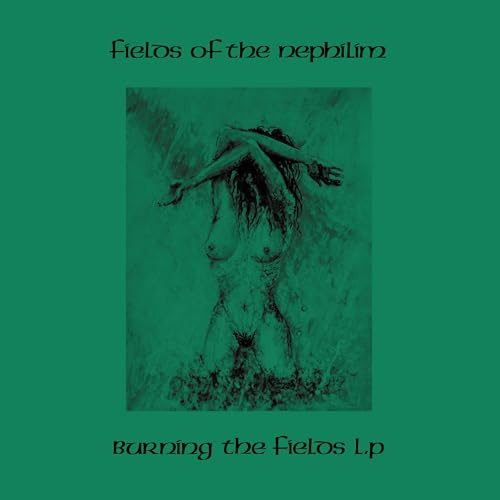 Burning the Fields (2cd) von Jungle Records / Indigo