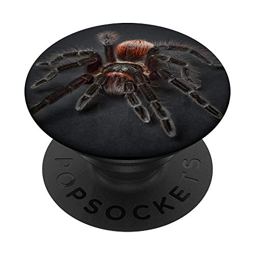 Spinne Spider Vogelspinne Spinnennetz Netz Webspinnen PopSockets mit austauschbarem PopGrip von Jungs & Mädchen cooler Fingerhalter schön am Handy