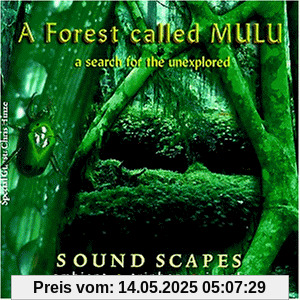 A Forest Called Mulu A Forest Called Mulu von Junkie Xl