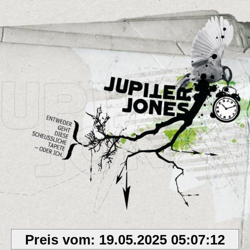 Entweder geht diese scheußliche Tapete - oder ich Entweder geht diese scheußliche Tapete - oder ich von Jupiter Jones