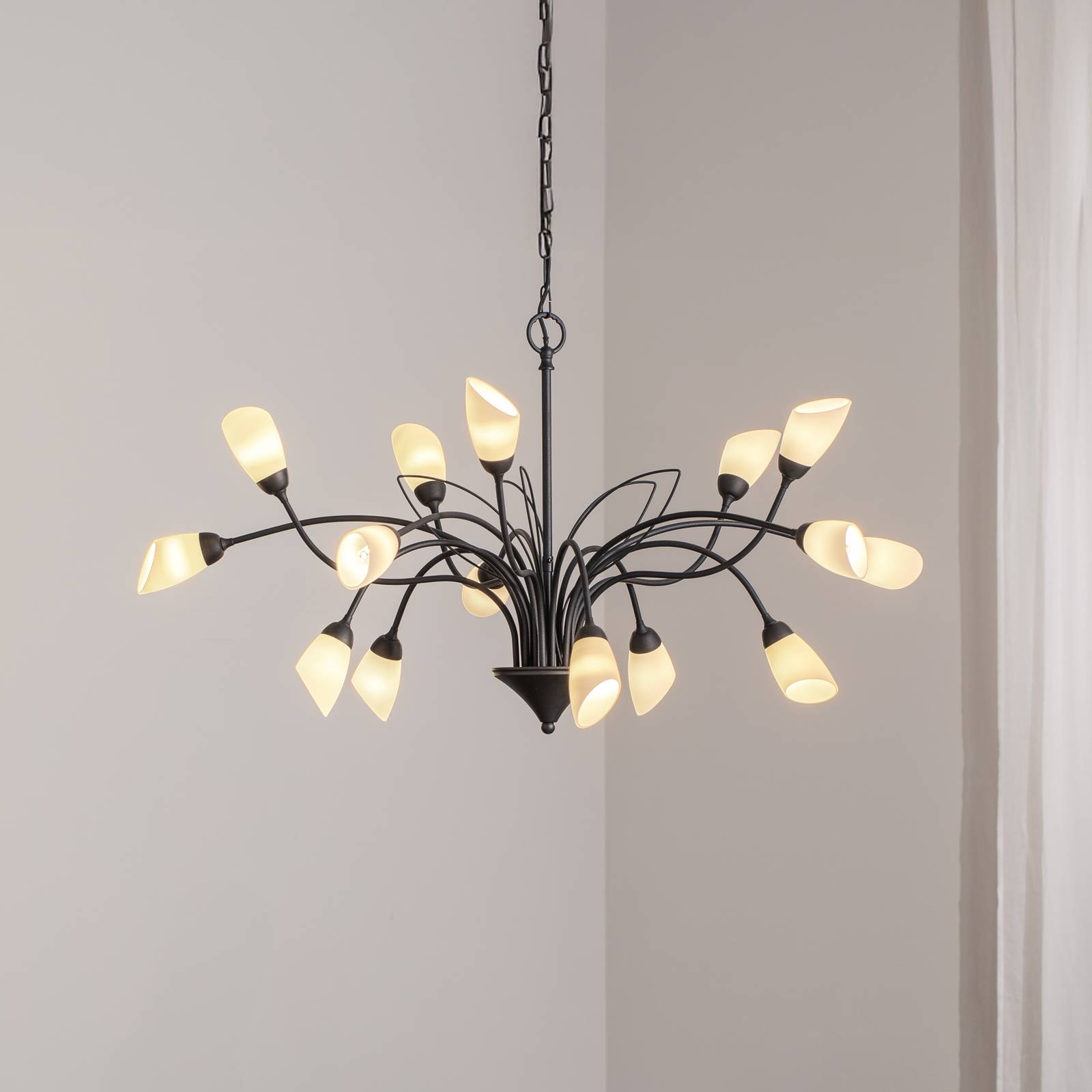 Pendelleuchte Gloriosa, Glas, schwarz, 15-flammig Pendelleuchte Gloriosa, Glas, schwarz, 15-flammig von Jupiter