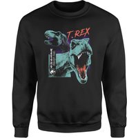 Jurassic Park T-REXES Sweatshirt - Schwarz - M von Jurassic Park