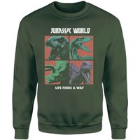 Jurassic Park World Four Colour Faces Sweatshirt - Green - XS von Jurassic Park