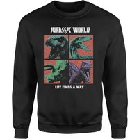 Jurassic Park World Four Colour Faces Sweatshirt - Schwarz - M von Jurassic Park