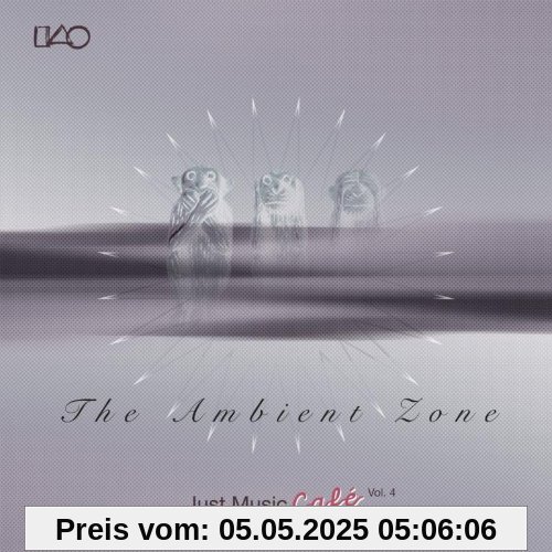 Ambient Zone,the Ambient Zone,the von Just Music Cafe Volume 4