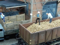 Juweela Juweela: Kartoffeln 100 g von Juweela