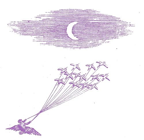 Migration Magic [Vinyl LP] von Funko
