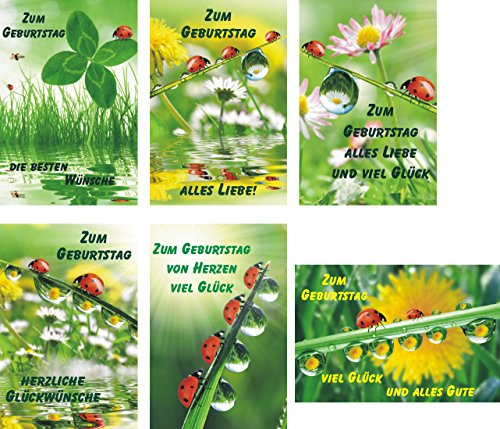 K&B Vertrieb Geburtstagskarten 50 Stück mit tollen Motiven Glückwunschkarten Geburtstag 51-3050 von K&B Vertrieb