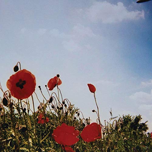 Bloem [Vinyl LP] von !K7 RECORD (Rough Trade)