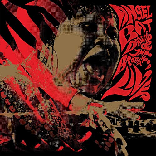 Live [Vinyl LP] von INTERNATIONAL ANTHEM