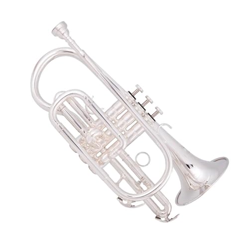 B-Flaches versilbertes Kornett Mini-Trompete Instrument professionelle Anfängerleistung Standard Trompeten von KAILNDF