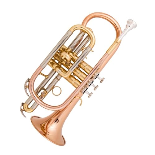B-Kornett-Instrument tragbare Mini-Trompete professionelle Anfänger-Performance Standard Trompeten von KAILNDF