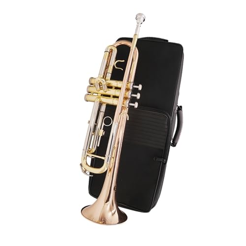B-Trompete Profi-Instrument Phosphorbronze Anfänger Standard Trompeten B-Trompete Profi-Instrument Phosphorbronze Anfänger Standard Trompeten von KAILNDF
