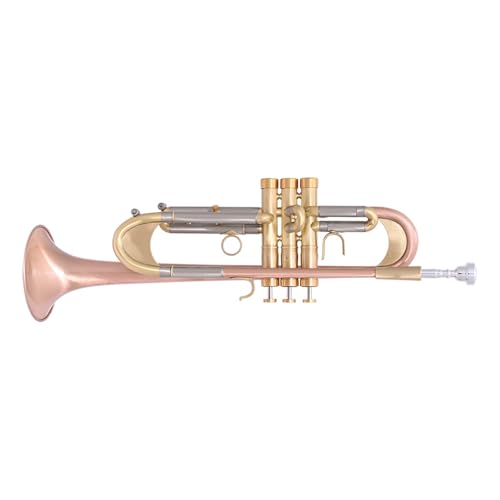 B-Trompete für Erwachsene Anfänger professionelles Instrument Standard Trompeten von KAILNDF
