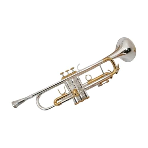 KAILNDF Versilberte B-Trompete Blechblasinstrument Profi Anfänger Standard Trompeten KAILNDF Versilberte B-Trompete Blechblasinstrument Profi Anfänger Standard Trompeten von KAILNDF