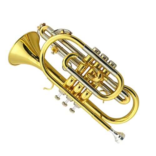 Kornett Trompete B-Dur Profiinstrument Standard Trompeten von KAILNDF