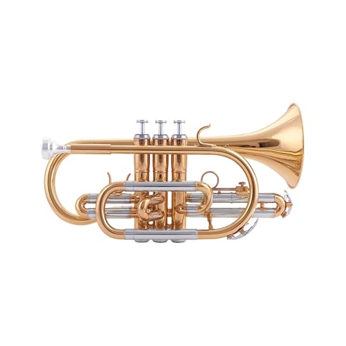 Kornett Trompete Lack Gold B Key Professionelles Musikinstrument Standard Trompeten von KAILNDF