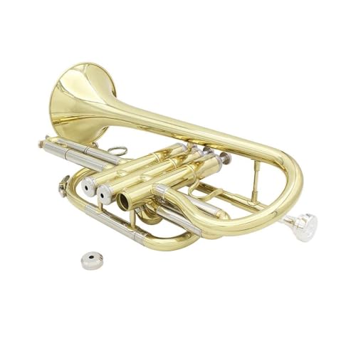 Professionelle Performance B-Kornett Mini-Trompete aus Messing Standard Trompeten von KAILNDF