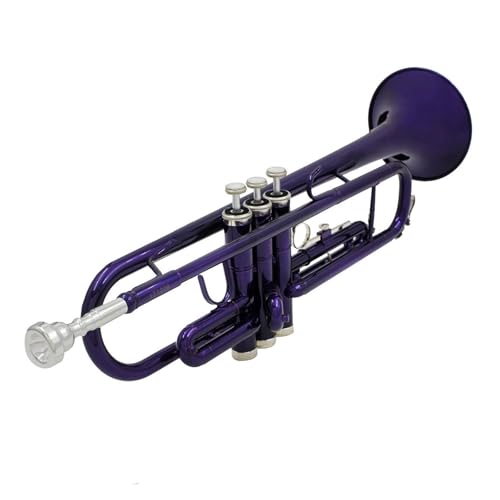 Professionelles Musikinstrument Trompete B-Blech Messing geeignet für Erwachsene Standard Trompeten von KAILNDF