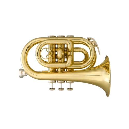 Tragbare Trompete B Flat Mini Kornett Musikinstrumente Standard Trompeten von KAILNDF