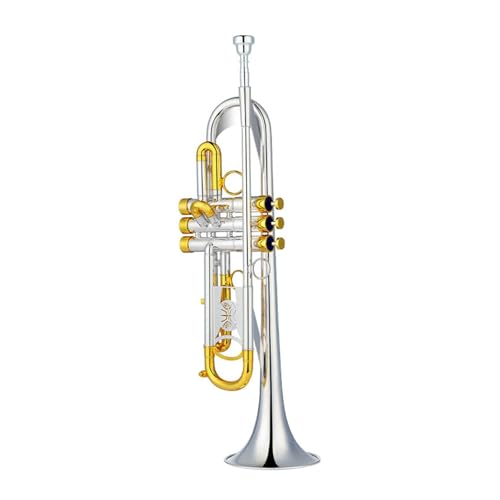 Trompete B-Dur Messing vergoldet Profiinstrument Standard Trompeten Trompete B-Dur Messing vergoldet Profiinstrument Standard Trompeten von KAILNDF