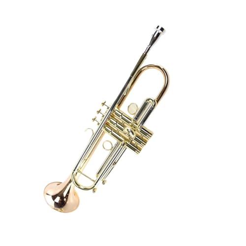 Trompete in B-Dur Instrument geeignet für professionelle Darbietungen Standard Trompeten von KAILNDF