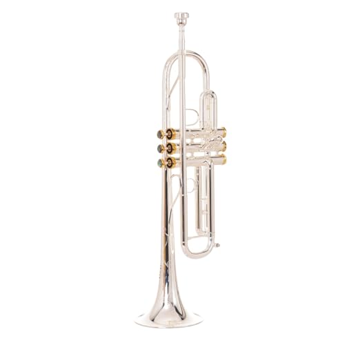 Trompete professionelles Instrument versilbert B-Dur Standard Trompeten Trompete professionelles Instrument versilbert B-Dur Standard Trompeten von KAILNDF