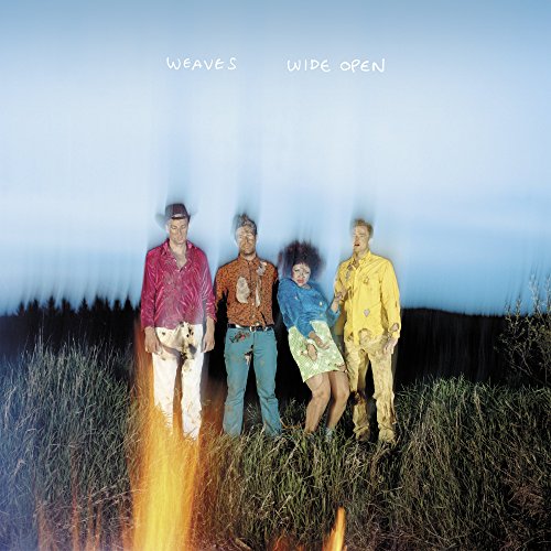 Wide Open [Vinyl LP] von KANINE RECORDS