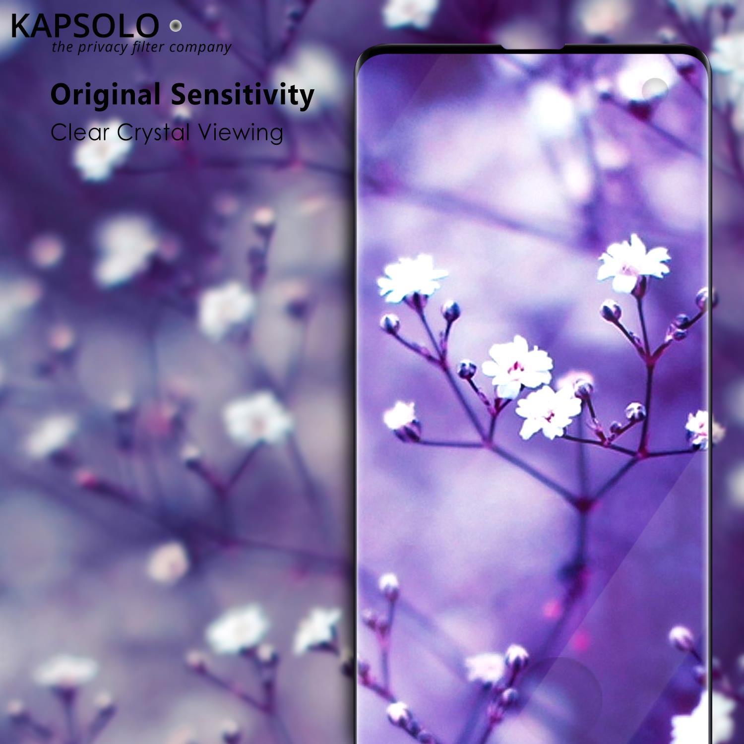 KAPSOLO Displayschutzglas - vollflächiges Displayschutz mit abgerundete Kanten - Temperglas - 3D schutzglas für Apple iPhone X (KAP30204) von KAPSOLO