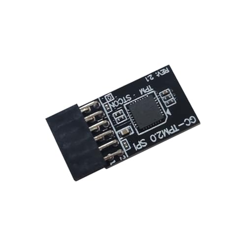 KASFDBMO Computeradapterplatine Für TPM2.0 SPI (12-1) PIN Verbindungsanschluss Verbessert Sicherheitsmodul von KASFDBMO