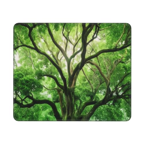 KDKJEDPEAF Mauspads für Spiel, grüner Kampferbaum-Druck, fortschrittliches Computer-Mauspad, 30 cm x 25 cm, stabile rutschfeste Gummiunterseite (horizontal) von KDKJEDPEAF