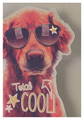KE - Humorvolle Geburtstagskarte, DIN B6 Format, Inklusive Umschlag, Mit Innentext, Perfekt für Hundefreunde - Motiv: Hund von KE