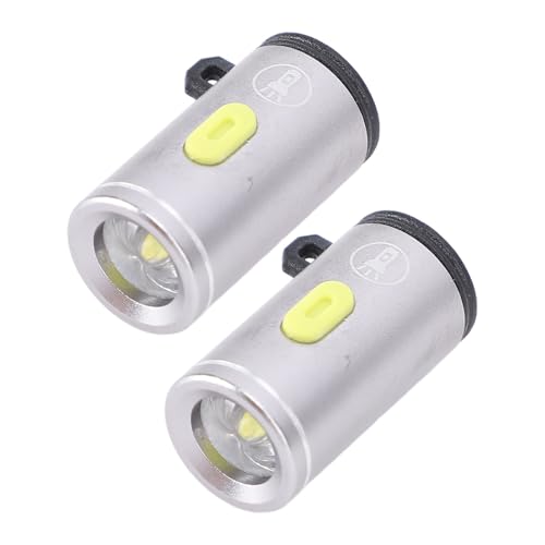 230LM USB -Licht für Laptop -LED -Taschenlampe, Typ C Betrieben, Kompakt und Tragbar, Aluminiumlegierungskonstruktion, mit Laptop, Telefonladegerät, Camping, Notfall, (Silber) von KENANLAN