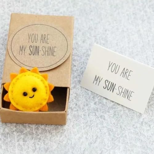 KEVGNRO Winzige Liebesbeweise in einer Streichholzschachtel,Kreatives Mini-Sonnenblumen-Geschenk mit Grußkarte,Niedliches Gespenst-Streichholzschachtel-Geschenk (You Are My Sun-shine) von KEVGNRO