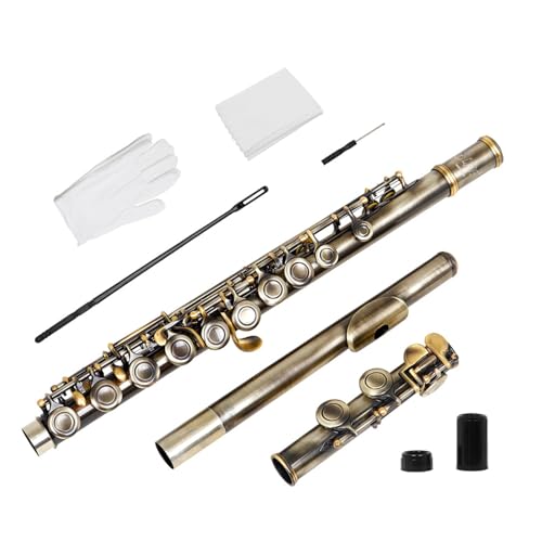KEXIAO 16 geschlossene offene Löcher, C-Schlüssel, professionelles Querflöte, Konzertinstrument für Anfänger und Kinder KEXIAO 16 geschlossene offene Löcher, C-Schlüssel, professionelles Querflöte, Konzertinstrument für Anfänger und Kinder von KEXIAO