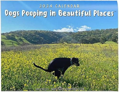 Kalender 2024 - Pooping Dogs Calendar | Hundekalender - Dogs Pooping In Beautiful Places Calendar | Kalender für Hunde, Die An Schönen Orten Kacken von KFDDRN