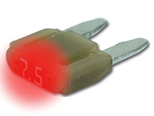 LED-Status Mini KFZ Auto Sicherungen Flachsicherungen, TFNL0, Set, 3A 5A 7,5A 10A 15A 20A 25A 30A, Stromstärke:07.5A Ampere LED-Status Mini KFZ Auto Sicherungen Flachsicherungen, TFNL0, Set, 3A 5A 7,5A 10A 15A 20A 25A 30A, Stromstärke:07.5A Ampere von KFZ-Autoteile Express