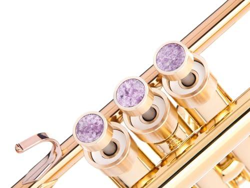 Heavy Trompete benutzerdefinierte Fingerknöpfe für alle Yamha (alle YTR), Stomvi, Shagerl, Carol Brass und Fides Trompeten, Yamaha Flügelhorn 631/731, Yamaha Kornett Modelle (Raw Brass, Charoite) von KGUBrass