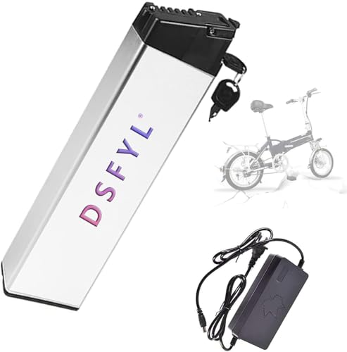 36 V 48 V Fahrrad Lithium-Akku Elektrofahrrad, 36 V 48 V Schutz, wasserdichtes PVC für 200 W – 800 W Motor mit Ladegerät (48 V, 10 AH) von KHUKHU