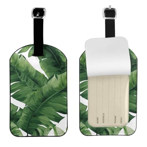 Kofferetiketten aus Leder, niedlich, grün, Palmenblätter, Gepäckanhänger, wasserdicht, Reisegepäckanhänger mit verstellbarem Gurt und verstecktem Informationsfenster, 7 cm x 11 cm, 1 Stück Kofferetiketten aus Leder, niedlich, grün, Palmenblätter, Gepäckanhänger, wasserdicht, Reisegepäckanhänger mit verstellbarem Gurt und verstecktem Informationsfenster, 7 cm x 11 cm, 1 Stück von KIPOSTYZTT