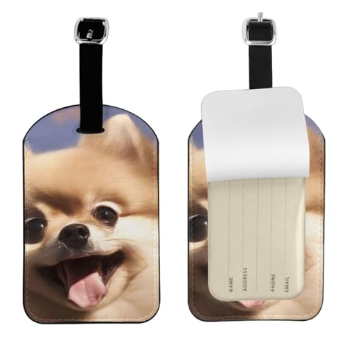 Kofferetiketten aus Leder, niedlicher Pomeranian-Druck, Gepäckanhänger, wasserdicht, Reisegepäckanhänger mit verstellbarem Gurt und verstecktem Informationsfenster, 7 cm x 11 cm, 1 Stück Kofferetiketten aus Leder, niedlicher Pomeranian-Druck, Gepäckanhänger, wasserdicht, Reisegepäckanhänger mit verstellbarem Gurt und verstecktem Informationsfenster, 7 cm x 11 cm, 1 Stück von KIPOSTYZTT