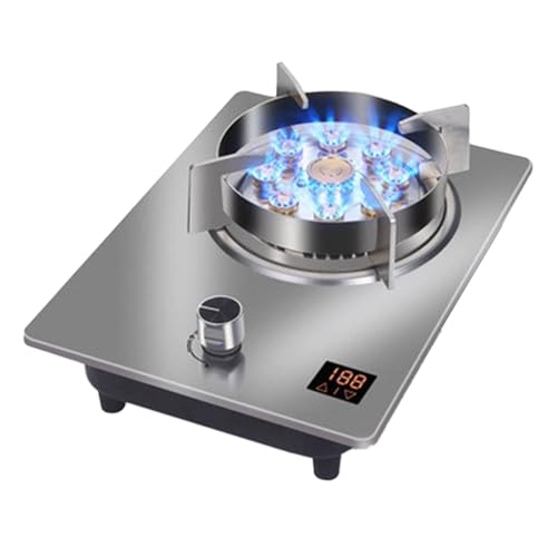 Tragbarer Gasherd, 7,2 KW, 9 Hohlräume, Zeitgesteuerte Hochfeuerung, Topflappen Aus Gusseisen, Flammenschutz Zur Vermeidung Von Gaslecks, LPG/Erdgas-Kit(Silver,LPG) von KKJPL