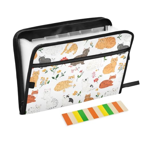 KLL Akkordeon-Aktenordner, Akkordeon-Aktenordner, Poly-Aktenordner, Organizer mit Taschen für taktische, niedliche amerikanische Curl-Katzen, Weiß KLL Akkordeon-Aktenordner, Akkordeon-Aktenordner, Poly-Aktenordner, Organizer mit Taschen für taktische, niedliche amerikanische Curl-Katzen, Weiß von KLL
