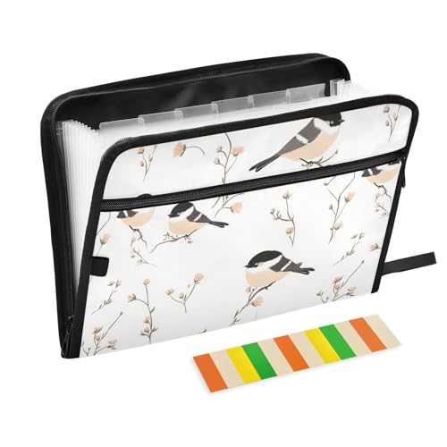 KLL Akkordeon-Aktenordner, Aktenordner, Hängemappe, mehrere Taschen, Ordner mit Taschen für medizinische Referenzen, Cartoon-Schwarz – Kappe, Küken, Vögel, Weiß KLL Akkordeon-Aktenordner, Aktenordner, Hängemappe, mehrere Taschen, Ordner mit Taschen für medizinische Referenzen, Cartoon-Schwarz – Kappe, Küken, Vögel, Weiß von KLL