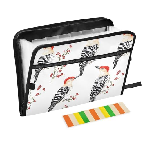 KLL Erweiterbare Akkordean-Aktenordner, Papier-Organizer, Aufbewahrungsordner, legale Größe mit Reißverschluss, für Speisekarten für Restaurants, Schönheit, Rot – bauchiger Specht, Vögel, Weiß KLL Erweiterbare Akkordean-Aktenordner, Papier-Organizer, Aufbewahrungsordner, legale Größe mit Reißverschluss, für Speisekarten für Restaurants, Schönheit, Rot – bauchiger Specht, Vögel, Weiß von KLL