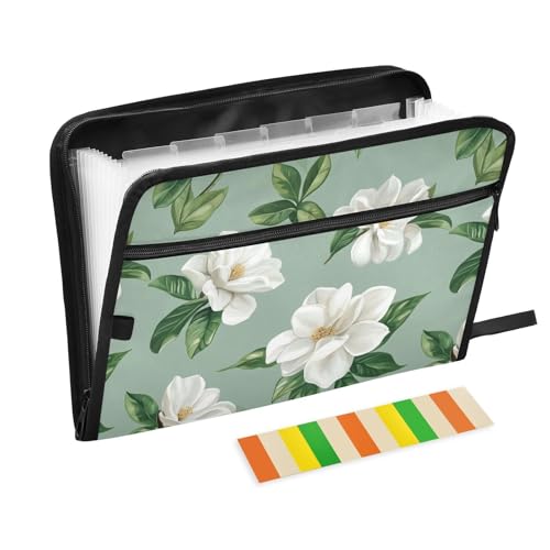 KLL Erweiterbare Schnellhefter mit Trennwänden, Aktenordner, Kunststoff-Organizer mit Reißverschluss mit Taschen für Militär, Chic Gardenie, Salbeigrün KLL Erweiterbare Schnellhefter mit Trennwänden, Aktenordner, Kunststoff-Organizer mit Reißverschluss mit Taschen für Militär, Chic Gardenie, Salbeigrün von KLL